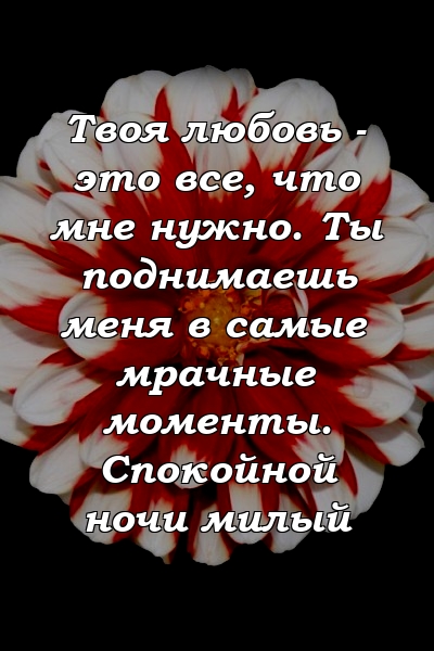 Твоя любовь - это все, что мне нужно. Ты поднимаешь меня в самые мрачные моменты. Спокойной ночи милый