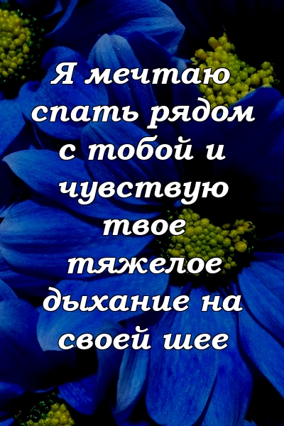 Я мечтаю спать рядом с тобой и чувствую твое тяжелое дыхание на своей шее