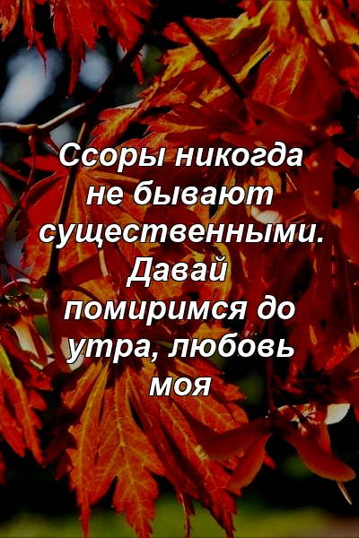 Ссоры никогда не бывают существенными. Давай помиримся до утра, любовь моя