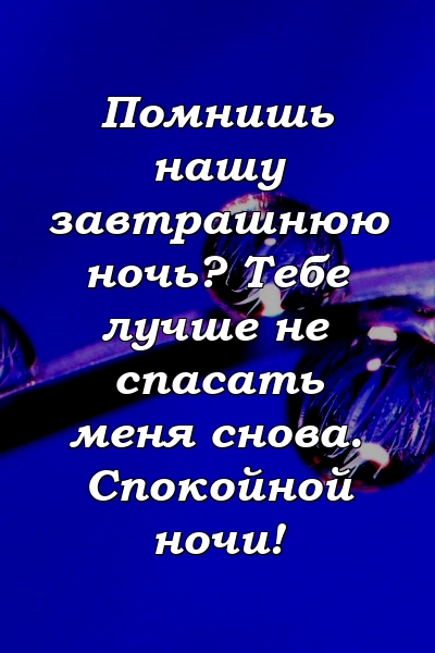 Помнишь нашу завтрашнюю ночь? Тебе лучше не спасать меня снова. Спокойной ночи!