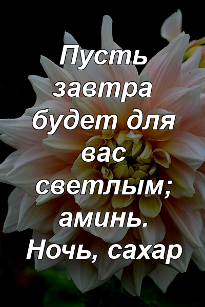 Пусть завтра будет для вас светлым; аминь. Ночь, сахар