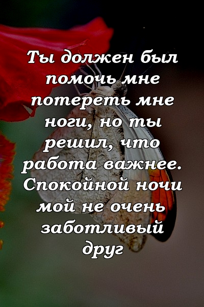 Ты должен был помочь мне потереть мне ноги, но ты решил, что работа важнее. Спокойной ночи мой не очень заботливый друг