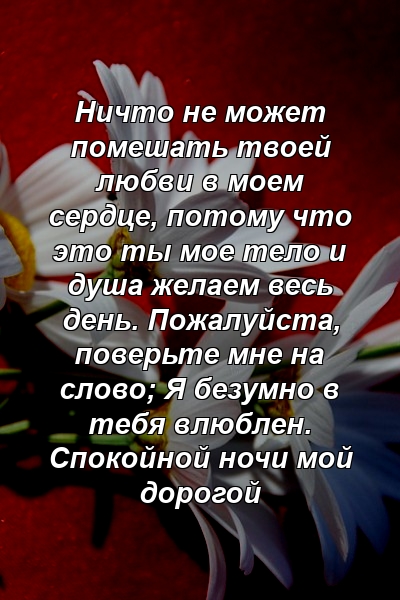 Ничто не может помешать твоей любви в моем сердце, потому что это ты мое тело и душа желаем весь день. Пожалуйста, поверьте мне на слово; Я безумно в тебя влюблен. Спокойной ночи мой дорогой