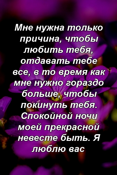 Мне нужна только причина, чтобы любить тебя, отдавать тебе все, в то время как мне нужно гораздо больше, чтобы покинуть тебя. Спокойной ночи моей прекрасной невесте быть. Я люблю вас