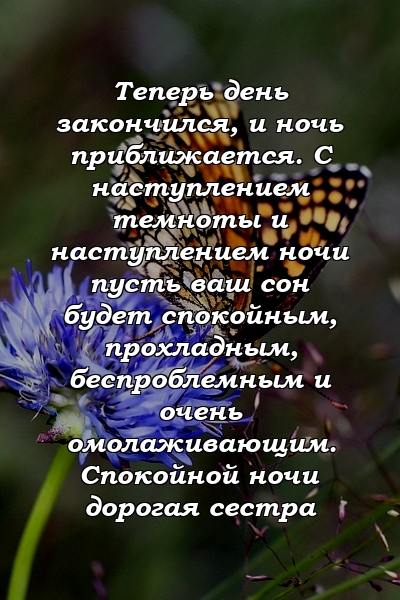 Теперь день закончился, и ночь приближается. С наступлением темноты и наступлением ночи пусть ваш сон будет спокойным, прохладным, беспроблемным и очень омолаживающим. Спокойной ночи дорогая сестра