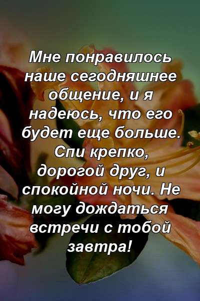 Мне понравилось наше сегодняшнее общение, и я надеюсь, что его будет еще больше. Спи крепко, дорогой друг, и спокойной ночи. Не могу дождаться встречи с тобой завтра!