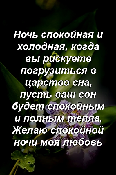 Ночь спокойная и холодная, когда вы рискуете погрузиться в царство сна, пусть ваш сон будет спокойным и полным тепла. Желаю спокойной ночи моя любовь