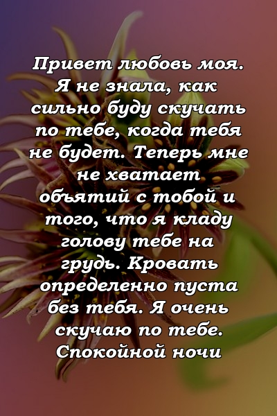 Привет любовь моя. Я не знала, как сильно буду скучать по тебе, когда тебя не будет. Теперь мне не хватает объятий с тобой и того, что я кладу голову тебе на грудь. Кровать определенно пуста без тебя. Я очень скучаю по тебе. Спокойной ночи