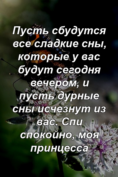 Пусть сбудутся все сладкие сны, которые у вас будут сегодня вечером, и пусть дурные сны исчезнут из вас. Спи спокойно, моя принцесса