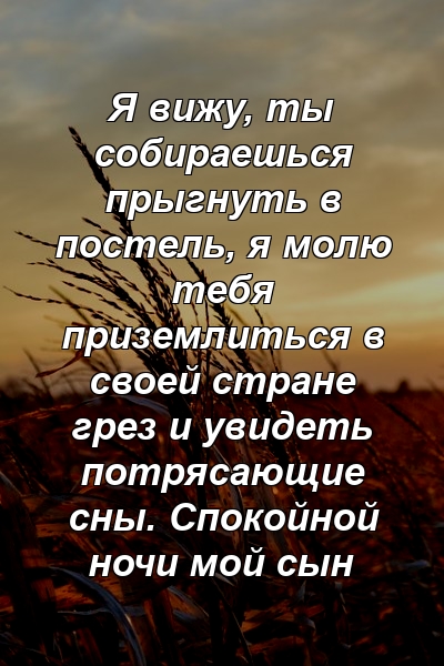 Я вижу, ты собираешься прыгнуть в постель, я молю тебя приземлиться в своей стране грез и увидеть потрясающие сны. Спокойной ночи мой сын