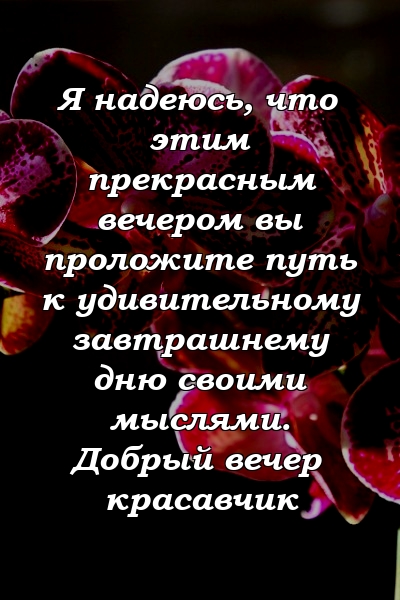 Я надеюсь, что этим прекрасным вечером вы проложите путь к удивительному завтрашнему дню своими мыслями. Добрый вечер красавчик