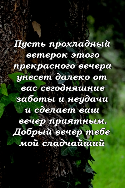 Пусть прохладный ветерок этого прекрасного вечера унесет далеко от вас сегодняшние заботы и неудачи и сделает ваш вечер приятным. Добрый вечер тебе мой сладчайший