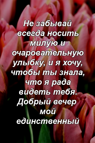 Не забывай всегда носить милую и очаровательную улыбку, и я хочу, чтобы ты знала, что я рада видеть тебя. Добрый вечер мой единственный