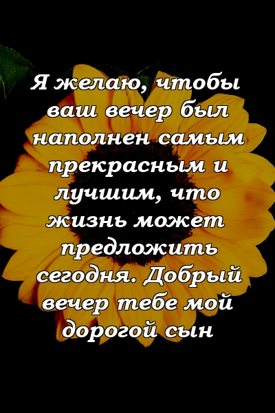 Я желаю, чтобы ваш вечер был наполнен самым прекрасным и лучшим, что жизнь может предложить сегодня. Добрый вечер тебе мой дорогой сын