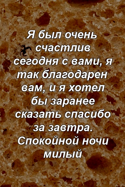 Я был очень счастлив сегодня с вами, я так благодарен вам, и я хотел бы заранее сказать спасибо за завтра. Спокойной ночи милый