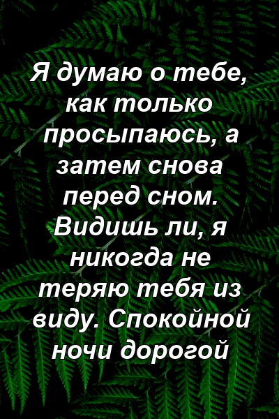 Я думаю о тебе, как только просыпаюсь, а затем снова перед сном. Видишь ли, я никогда не теряю тебя из виду. Спокойной ночи дорогой