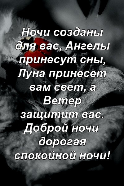 Ночи созданы для вас, Ангелы принесут сны, Луна принесет вам свет, а Ветер защитит вас. Доброй ночи дорогая спокойной ночи!