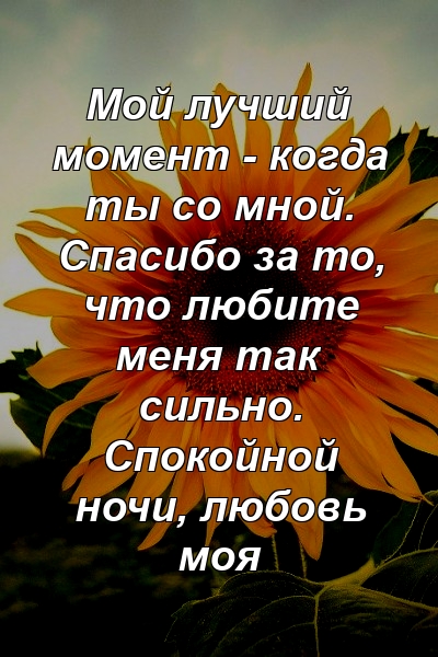 Мой лучший момент - когда ты со мной. Спасибо за то, что любите меня так сильно. Спокойной ночи, любовь моя