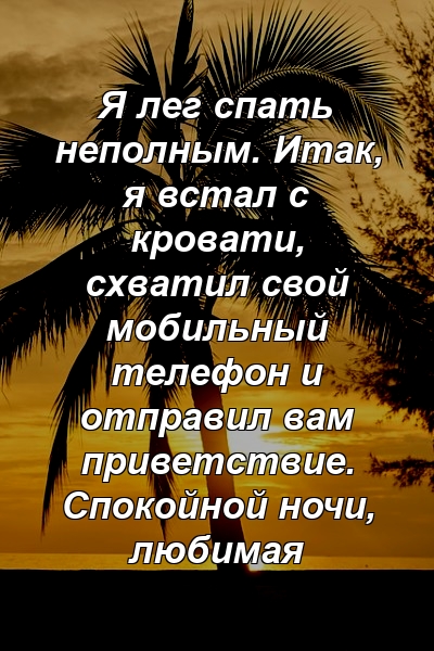 Я лег спать неполным. Итак, я встал с кровати, схватил свой мобильный телефон и отправил вам приветствие. Спокойной ночи, любимая