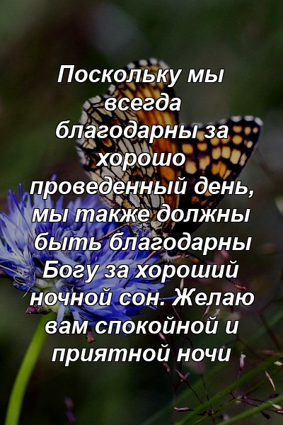 Поскольку мы всегда благодарны за хорошо проведенный день, мы также должны быть благодарны Богу за хороший ночной сон. Желаю вам спокойной и приятной ночи