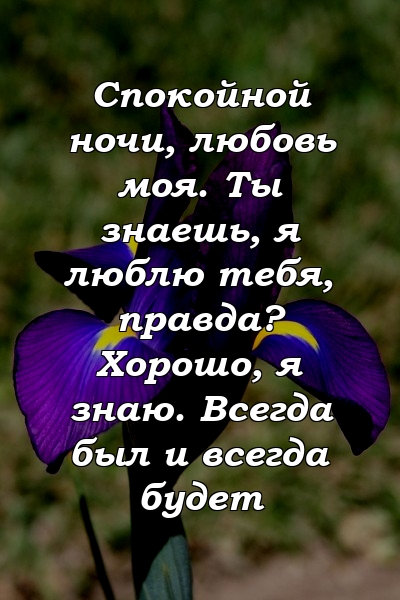 Спокойной ночи, любовь моя. Ты знаешь, я люблю тебя, правда? Хорошо, я знаю. Всегда был и всегда будет