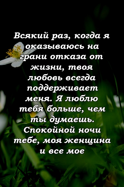 Всякий раз, когда я оказываюсь на грани отказа от жизни, твоя любовь всегда поддерживает меня. Я люблю тебя больше, чем ты думаешь. Спокойной ночи тебе, моя женщина и все мое