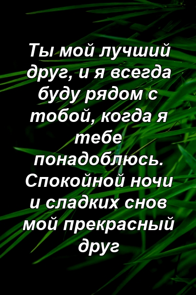 Ты мой лучший друг, и я всегда буду рядом с тобой, когда я тебе понадоблюсь. Спокойной ночи и сладких снов мой прекрасный друг