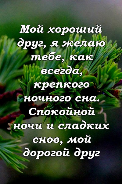 Мой хороший друг, я желаю тебе, как всегда, крепкого ночного сна. Спокойной ночи и сладких снов, мой дорогой друг