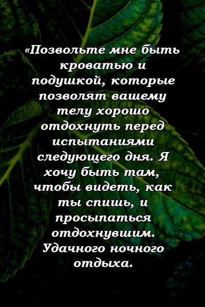 «Позвольте мне быть кроватью и подушкой, которые позволят вашему телу хорошо отдохнуть перед испытаниями следующего дня. Я хочу быть там, чтобы видеть, как ты спишь, и просыпаться отдохнувшим. Удачного ночного отдыха.