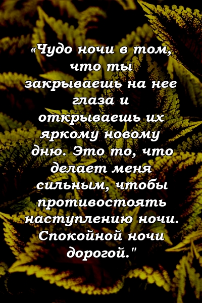 «Чудо ночи в том, что ты закрываешь на нее глаза и открываешь их яркому новому дню. Это то, что делает меня сильным, чтобы противостоять наступлению ночи. Спокойной ночи дорогой."