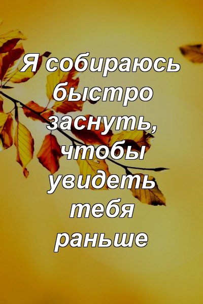 Я собираюсь быстро заснуть, чтобы увидеть тебя раньше