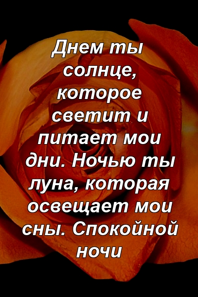 Днем ты солнце, которое светит и питает мои дни. Ночью ты луна, которая освещает мои сны. Спокойной ночи