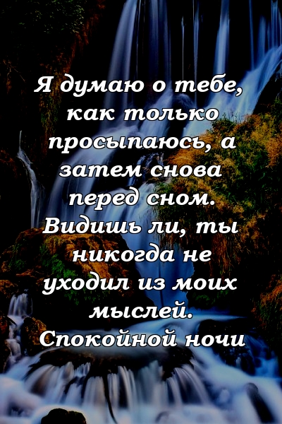 Я думаю о тебе, как только просыпаюсь, а затем снова перед сном. Видишь ли, ты никогда не уходил из моих мыслей. Спокойной ночи