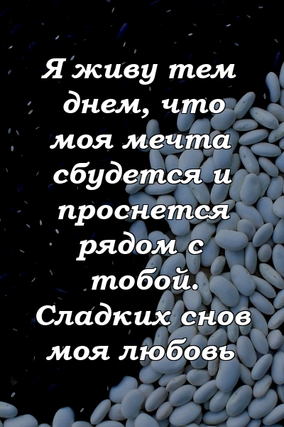 Я живу тем днем, что моя мечта сбудется и проснется рядом с тобой. Сладких снов моя любовь