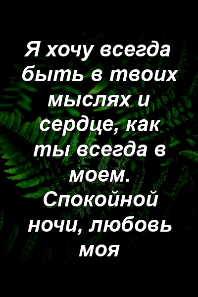 Я хочу всегда быть в твоих мыслях и сердце, как ты всегда в моем. Спокойной ночи, любовь моя