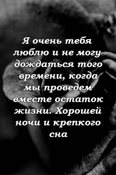 Я очень тебя люблю и не могу дождаться того времени, когда мы проведем вместе остаток жизни. Хорошей ночи и крепкого сна