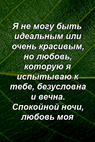 Я не могу быть идеальным или очень красивым, но любовь, которую я испытываю к тебе, безусловна и вечна. Спокойной ночи, любовь моя