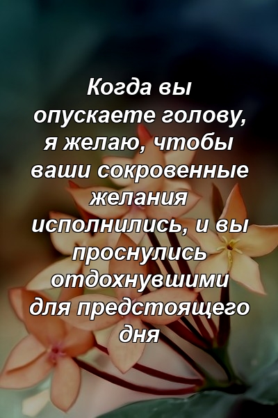 Когда вы опускаете голову, я желаю, чтобы ваши сокровенные желания исполнились, и вы проснулись отдохнувшими для предстоящего дня