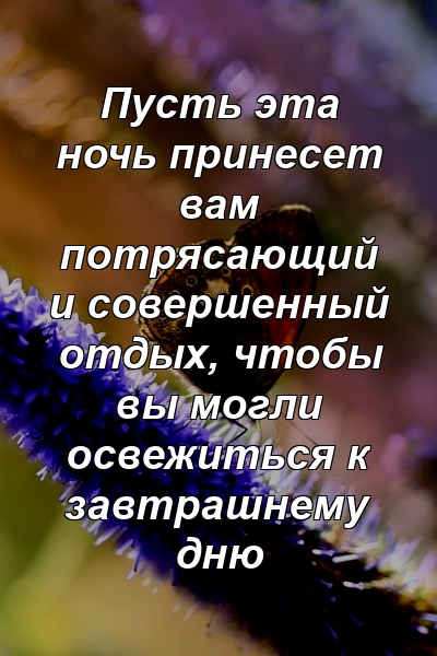 Пусть эта ночь принесет вам потрясающий и совершенный отдых, чтобы вы могли освежиться к завтрашнему дню