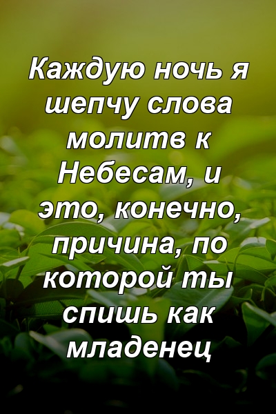 Каждую ночь я шепчу слова молитв к Небесам, и это, конечно, причина, по которой ты спишь как младенец