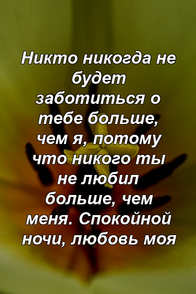 Никто никогда не будет заботиться о тебе больше, чем я, потому что никого ты не любил больше, чем меня. Спокойной ночи, любовь моя