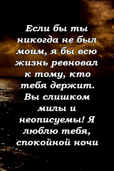 Если бы ты никогда не был моим, я бы всю жизнь ревновал к тому, кто тебя держит. Вы слишком милы и неописуемы! Я люблю тебя, спокойной ночи