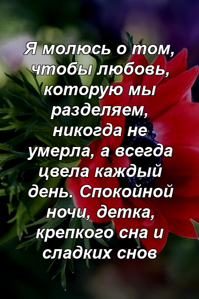 Я молюсь о том, чтобы любовь, которую мы разделяем, никогда не умерла, а всегда цвела каждый день. Спокойной ночи, детка, крепкого сна и сладких снов