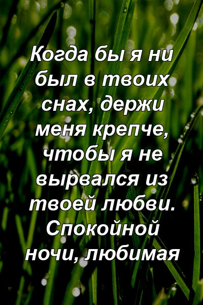 Когда бы я ни был в твоих снах, держи меня крепче, чтобы я не вырвался из твоей любви. Спокойной ночи, любимая