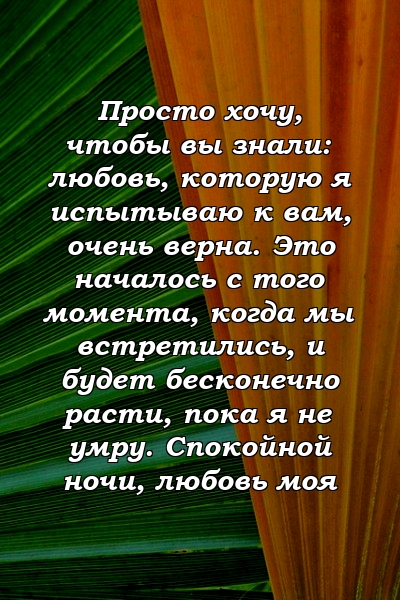 Просто хочу, чтобы вы знали: любовь, которую я испытываю к вам, очень верна. Это началось с того момента, когда мы встретились, и будет бесконечно расти, пока я не умру. Спокойной ночи, любовь моя