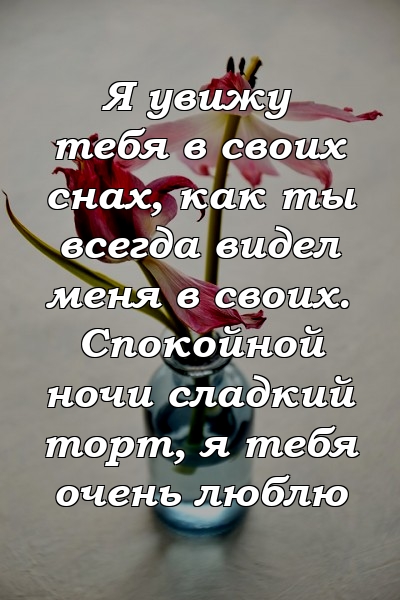 Я увижу тебя в своих снах, как ты всегда видел меня в своих. Спокойной ночи сладкий торт, я тебя очень люблю