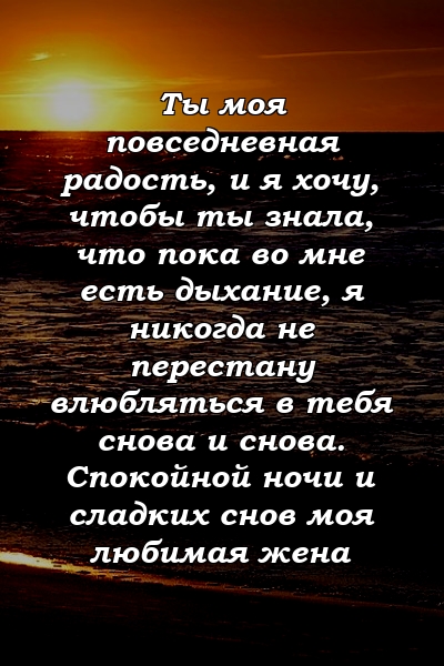 Ты моя повседневная радость, и я хочу, чтобы ты знала, что пока во мне есть дыхание, я никогда не перестану влюбляться в тебя снова и снова. Спокойной ночи и сладких снов моя любимая жена