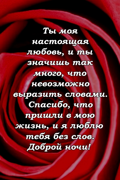 Ты моя настоящая любовь, и ты значишь так много, что невозможно выразить словами. Спасибо, что пришли в мою жизнь, и я люблю тебя без слов. Доброй ночи!