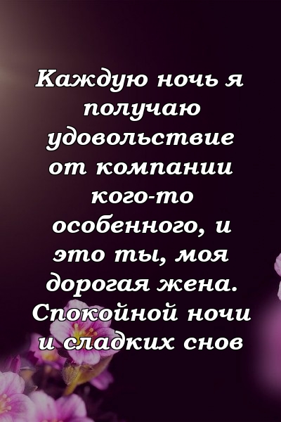 Каждую ночь я получаю удовольствие от компании кого-то особенного, и это ты, моя дорогая жена. Спокойной ночи и сладких снов