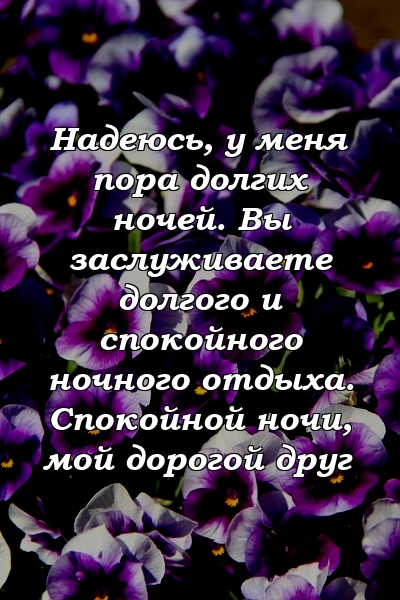 Надеюсь, у меня пора долгих ночей. Вы заслуживаете долгого и спокойного ночного отдыха. Спокойной ночи, мой дорогой друг